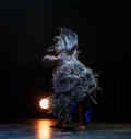 African Perspectives: Nadéeya GK / Carmel Loanga / Addy Daniel