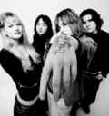 Lime Garden 23 LS Credit Steve Gullick