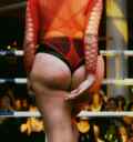 Party12 2024 05 29 154439 seqv
