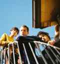 Wallows