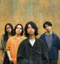 Dygl web
