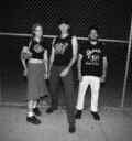 Fish narc band by brock fetch 1 mb