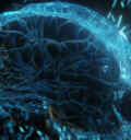 Scienceandcocktails parkinson brain scan sci fi 4 K d390a66f c77c 4654 b948 fa49fef07e13
